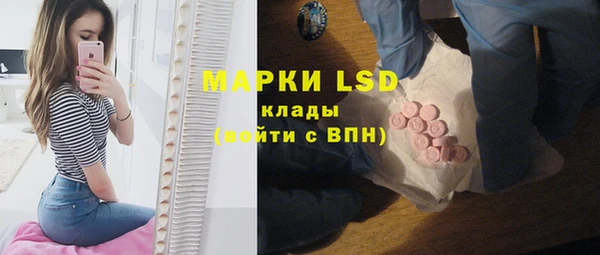 дурь Гусев