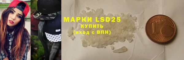 дурь Гусев