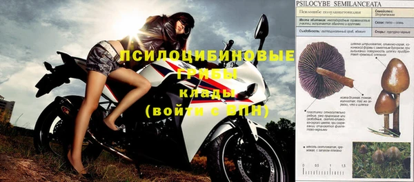 спайс Гусь-Хрустальный