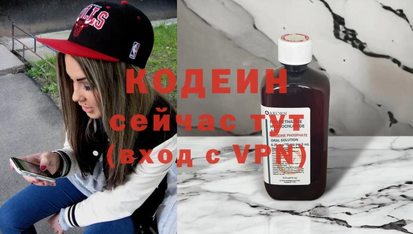 дурь Гусев