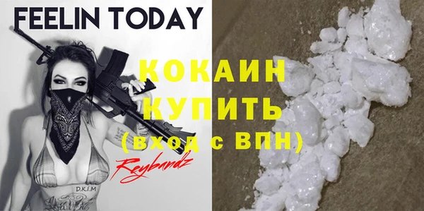 спайс Гусь-Хрустальный